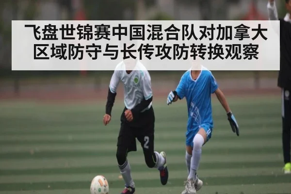 飞盘世锦赛中国混合队对加拿大区域防守与长传攻防转换观察